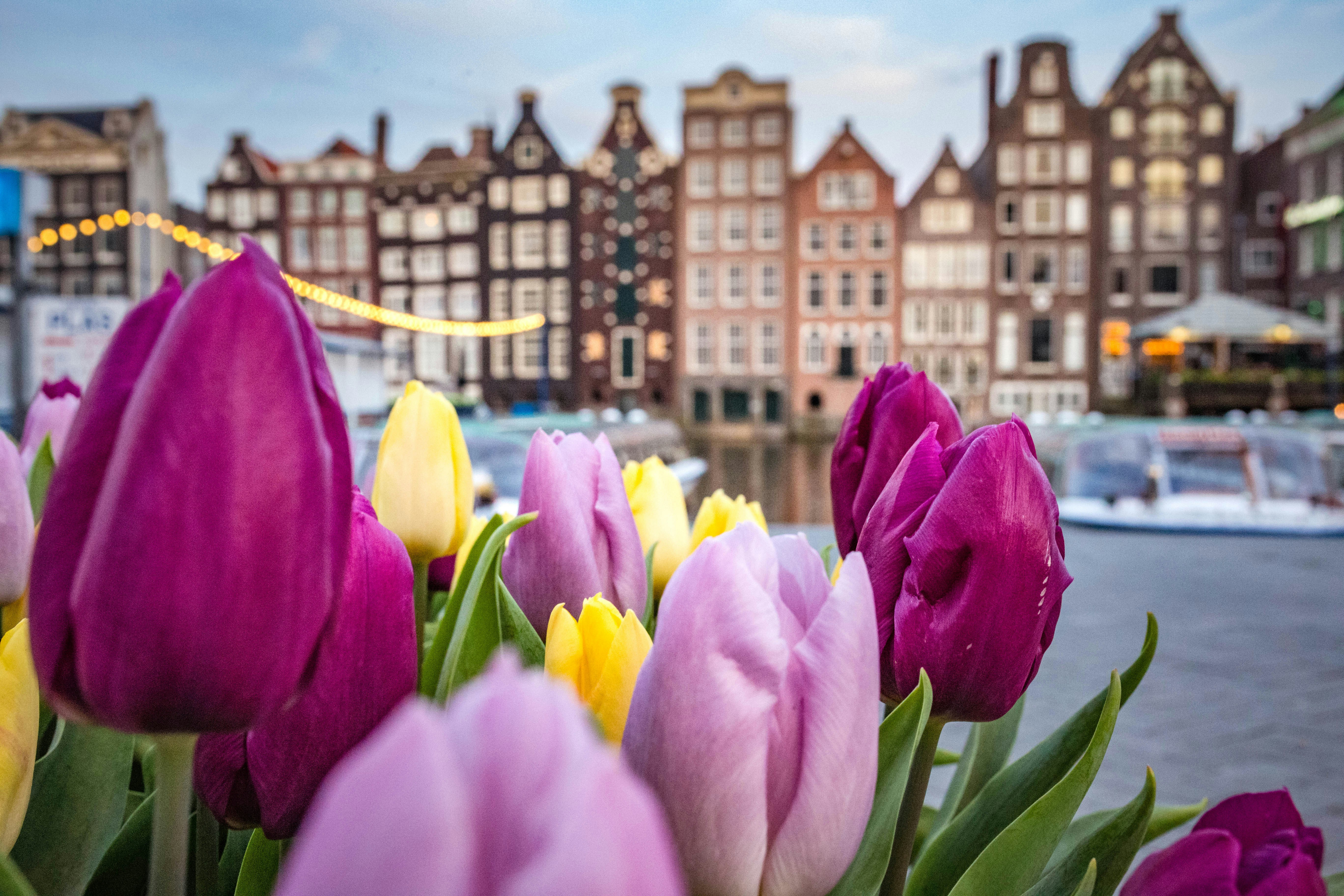 Amsterdam, the Netherlands